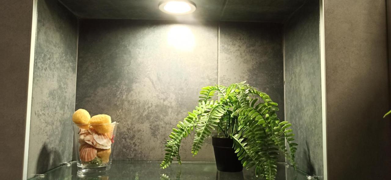 Apartament Apartman 29 Belgrad Zewnętrze zdjęcie