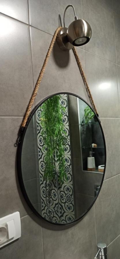 Apartament Apartman 29 Belgrad Zewnętrze zdjęcie